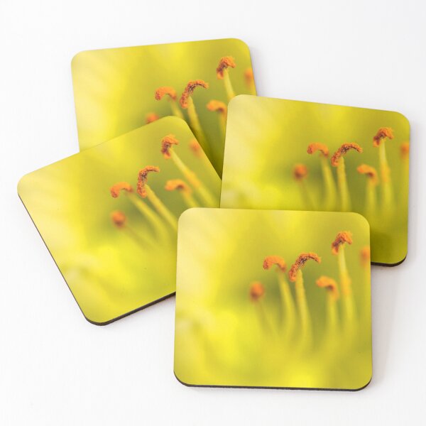 Item preview, Golden Gossip designed and sold by MarjorieB.