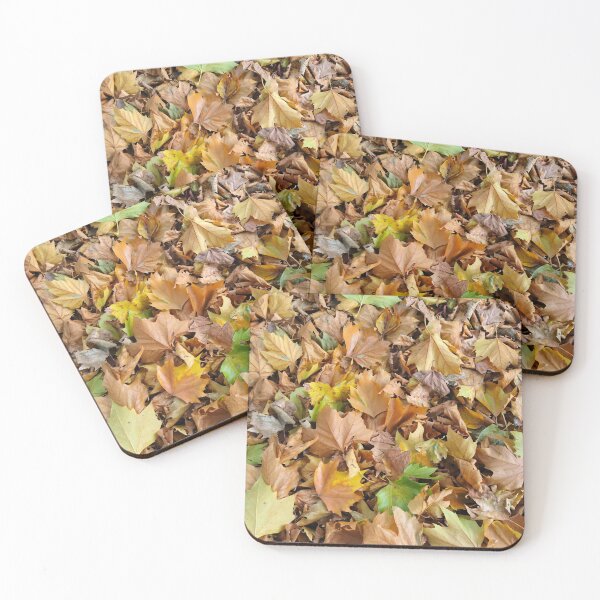 Item preview, Autumn leaves, York designed and sold by paulboizot.