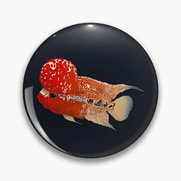 Item preview, Flowerhorn Cichlid designed and sold by Moopichino.