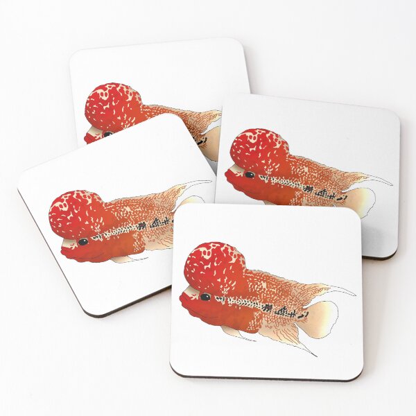 Item preview, Flowerhorn Cichlid designed and sold by Moopichino.