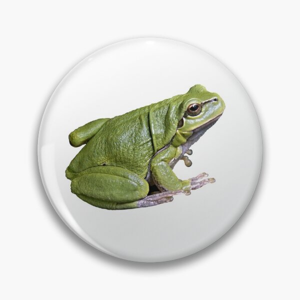 Item preview, Frog designed and sold by sunned.