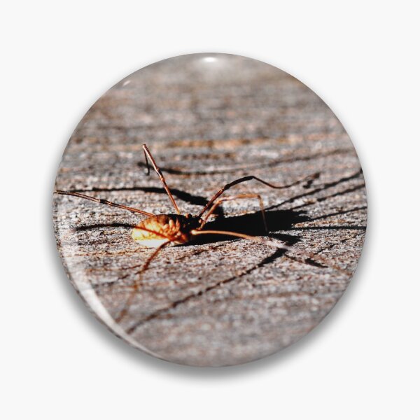 Item preview, Daddy Long Legs designed and sold by MarjorieB.
