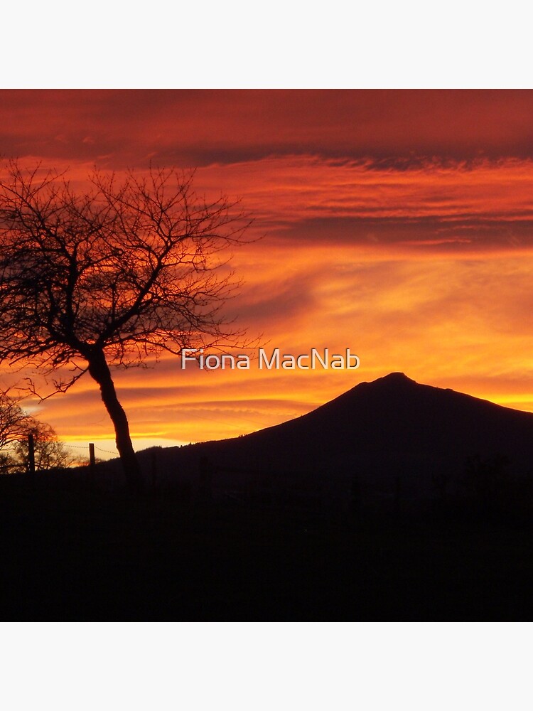 Thumbnail 4 of 4, Pillow, Bennachie sunset designed and sold by orcadia.