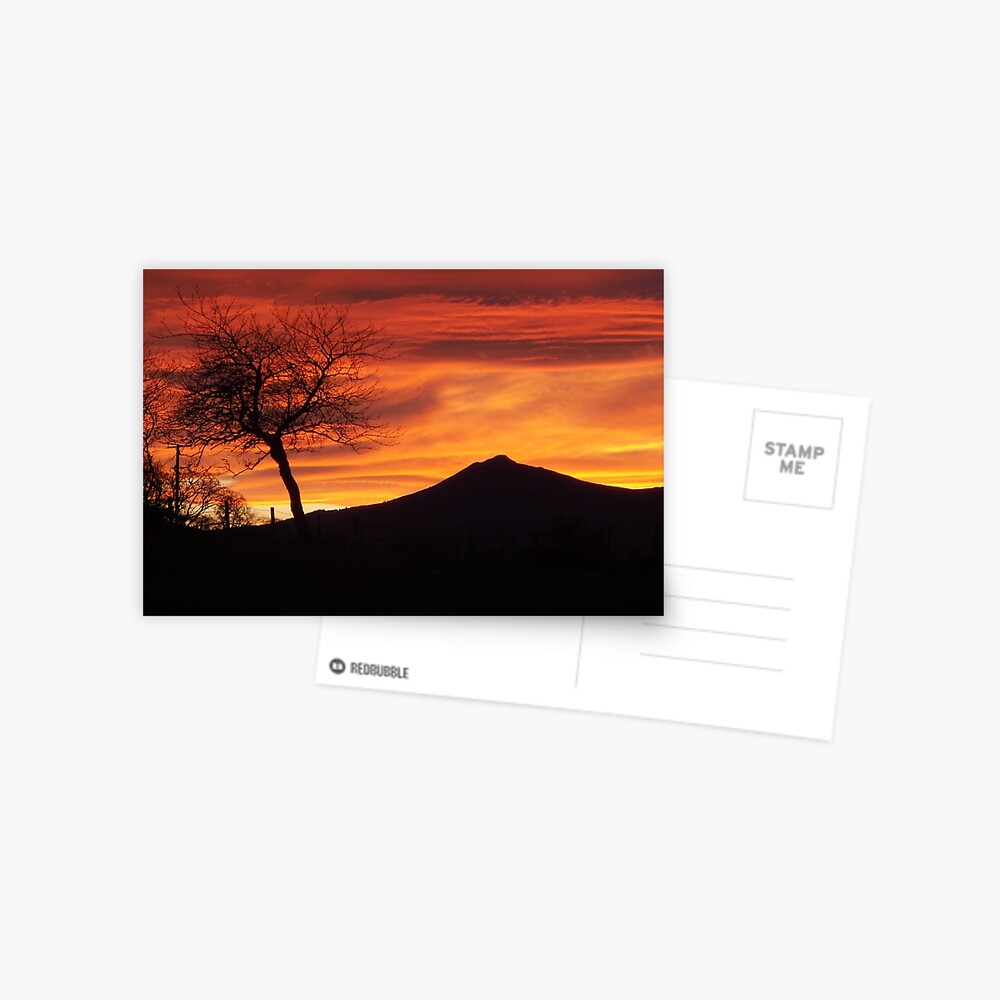 Item preview, Postcard designed and sold by orcadia.