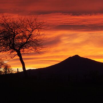 Artwork thumbnail, Bennachie sunset by Fiona MacNab