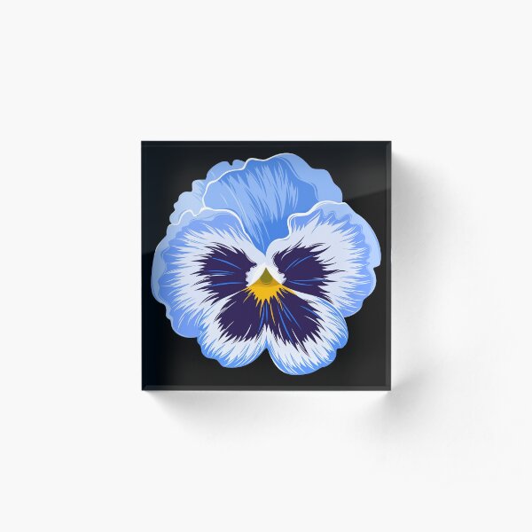 blue pansy flower Acrylic Block