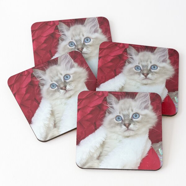 Item preview, Ragdoll kitten Christmas designed and sold by Fluffycat2020.