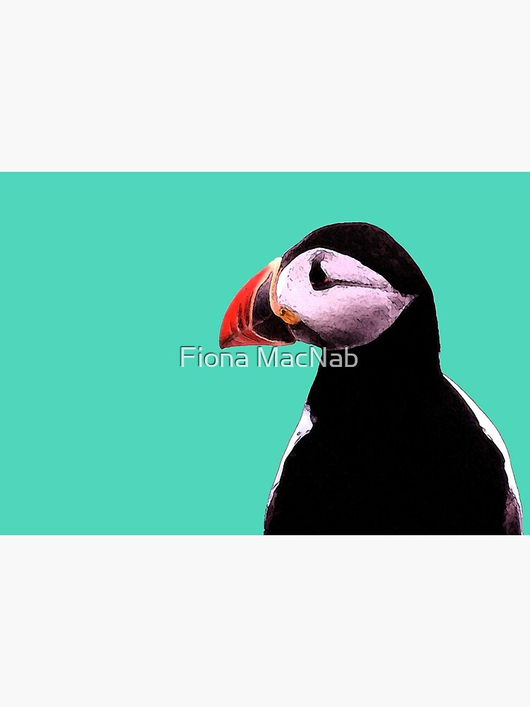 Puffin by orcadia