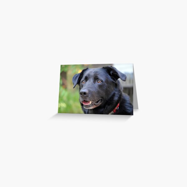 Thor On Guard Greeting Card