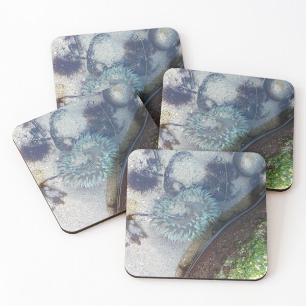 Item preview, sea creature designed and sold by Lorie Data.