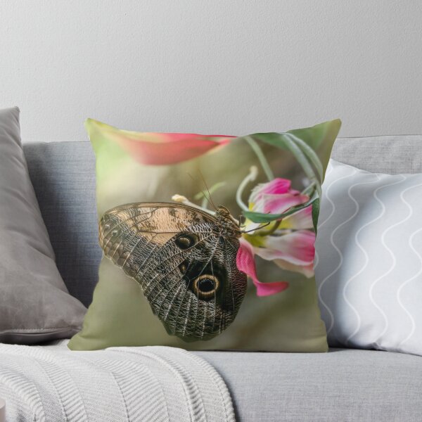 Item preview, Caligo memnon on pink flowers designed and sold by JBlaminsky.