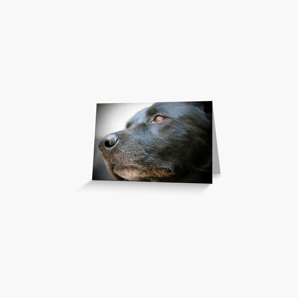 Thor Greeting Card