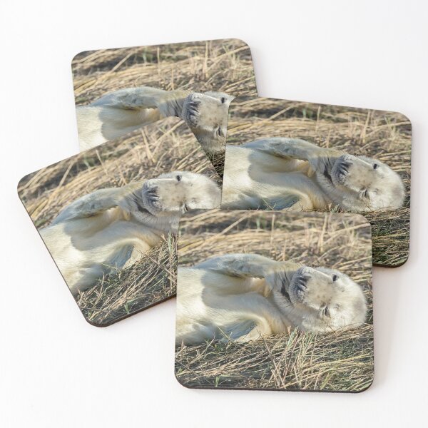 Item preview, Grey Seal Pup designed and sold by mhfore.