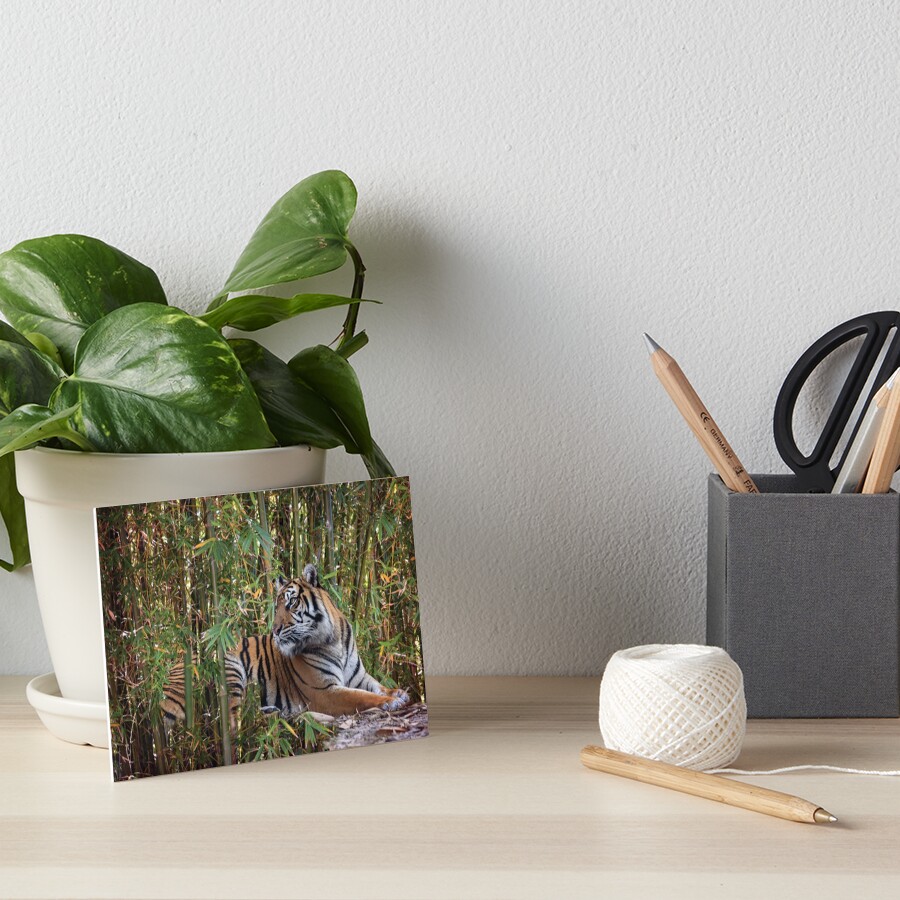 Item preview, Art Board Print designed and sold by Kbytes.