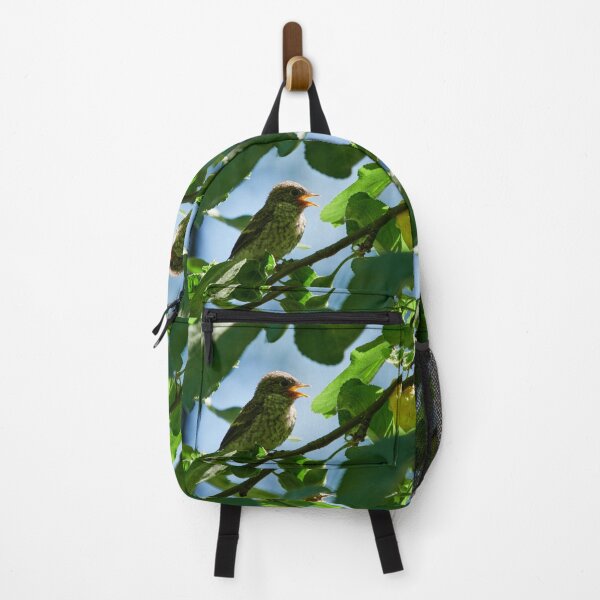 Item preview, The Young one. European pied flycatcher designed and sold by Jouko Lehto Photography.