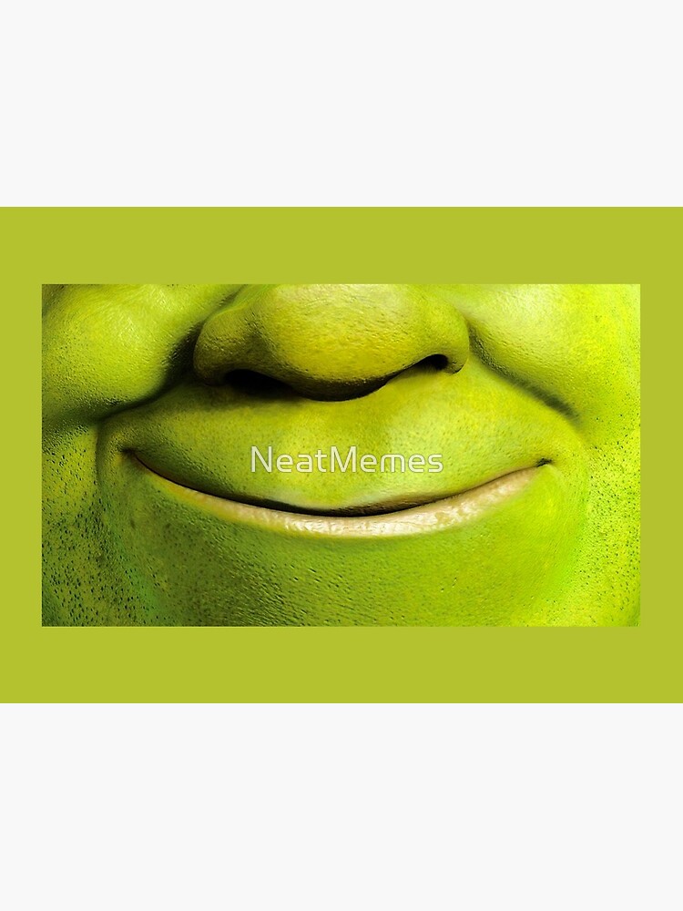 Shrek Mask by NeatMemes