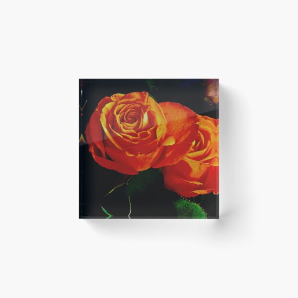Item preview, Rich gold roses designed and sold by keithmilligan.