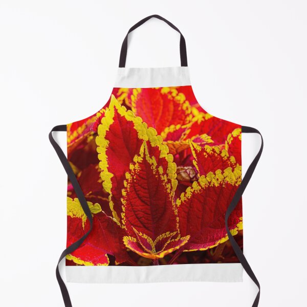 Item preview, Colourful Coleus designed and sold by Chris Thaxter.