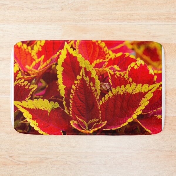 Item preview, Colourful Coleus designed and sold by Chris Thaxter.
