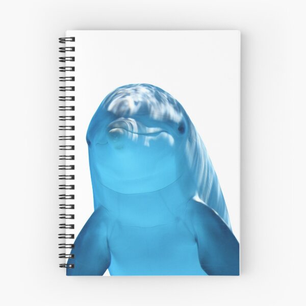 Item preview, Cute Funny Real Dolphin Photo  designed and sold by Pandoras-Boxx.