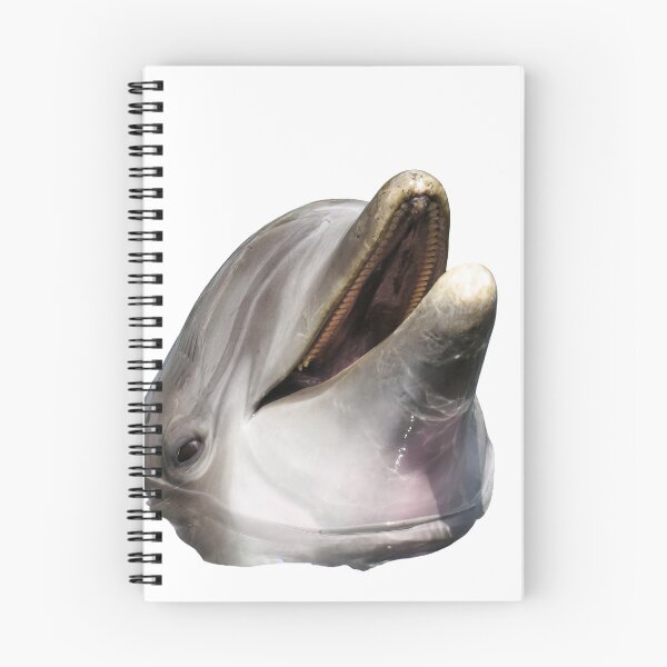 Item preview, Cute Funny Real Dolphin Photo  designed and sold by Pandoras-Boxx.