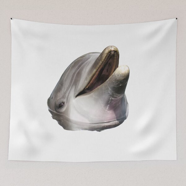 Item preview, Cute Funny Real Dolphin Photo  designed and sold by Pandoras-Boxx.