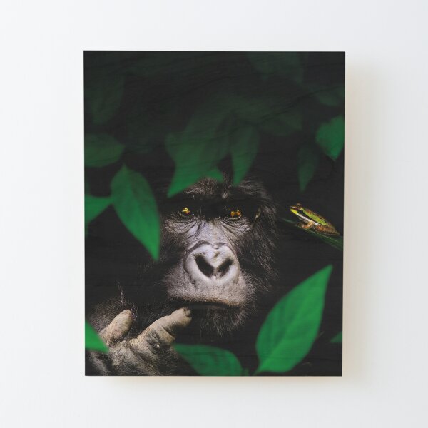 curious gorilla Wood Mounted Print