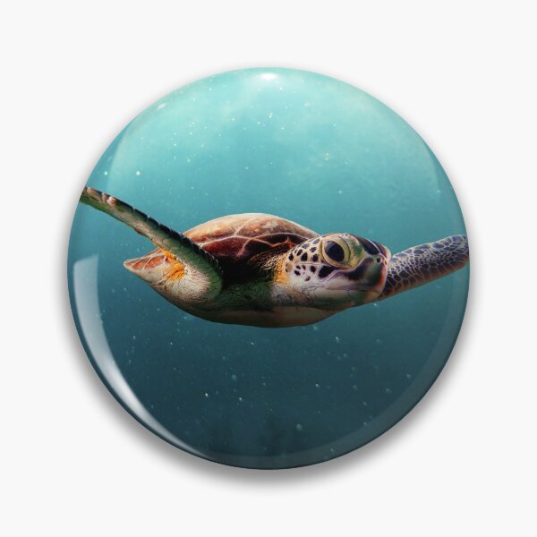 Item preview, flying turtle designed and sold by MarcelGW.