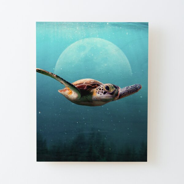 flying turtle Wood Mounted Print