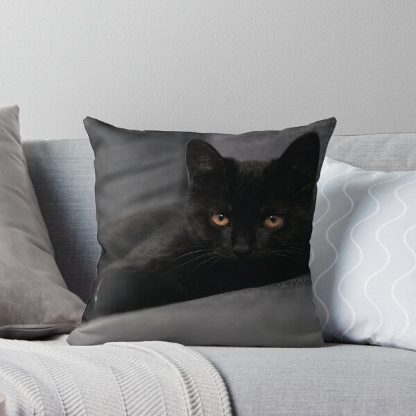 Item preview, Cut cat designed and sold by tshirtbest.