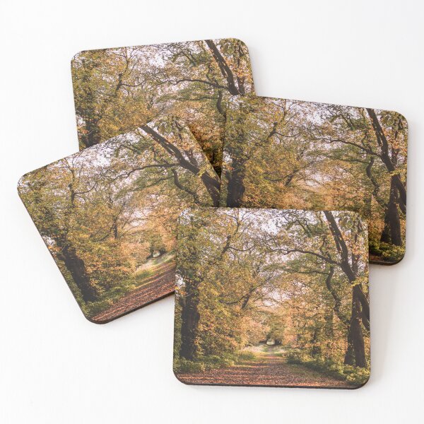 Item preview, Autumnal Tree Tunnel designed and sold by Will Drew.