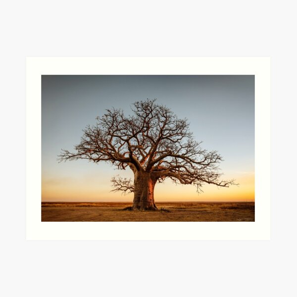 Farewell to the Day Art Print