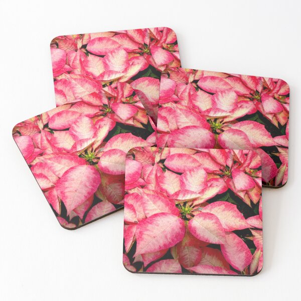 Item preview, Variegated Pink Christmas Poinsettia designed and sold by Monika's Shop.