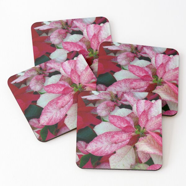 Item preview, Variegated Pink Christmas Poinsettia designed and sold by Monika's Shop.