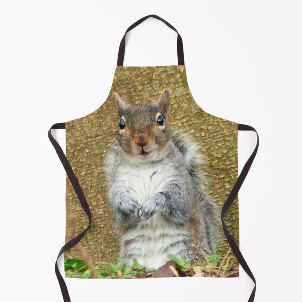 Item preview, Cute Squirrel designed and sold by Frankie Cat Photography.
