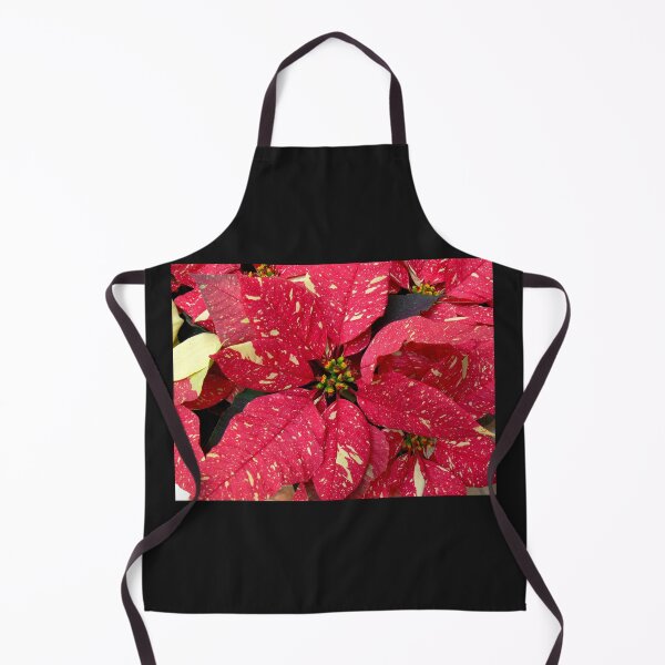 Item preview, Variegated Red & White Christmas Poinsettia designed and sold by Monika's Shop.