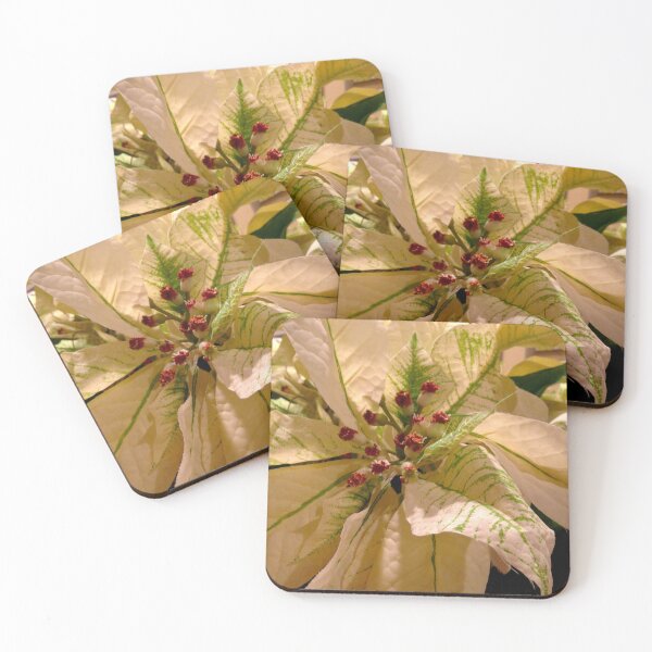 Item preview, White Christmas Poinsettia designed and sold by Monika's Shop.