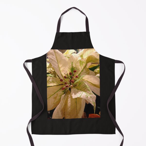 Item preview, White Christmas Poinsettia designed and sold by Monika's Shop.