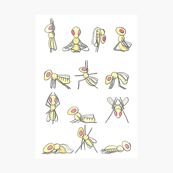 Item preview, Fruit flies doing yoga designed and sold by DaniEdmunds.