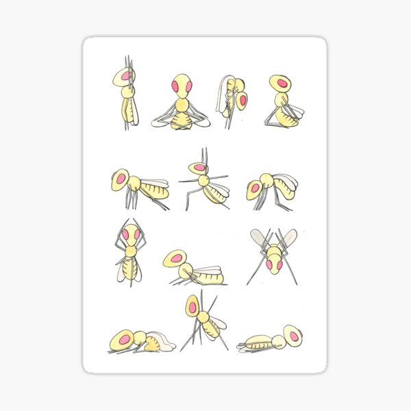 Item preview, Fruit flies doing yoga designed and sold by DaniEdmunds.
