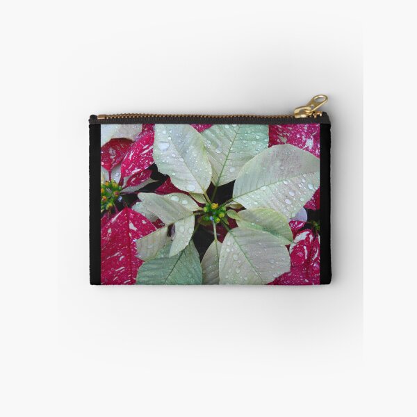 Item preview, Variegated Red & White Christmas Poinsettia designed and sold by Monika's Shop.