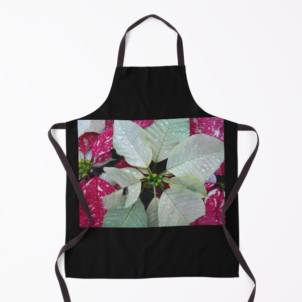 Item preview, Variegated Red & White Christmas Poinsettia designed and sold by Monika's Shop.