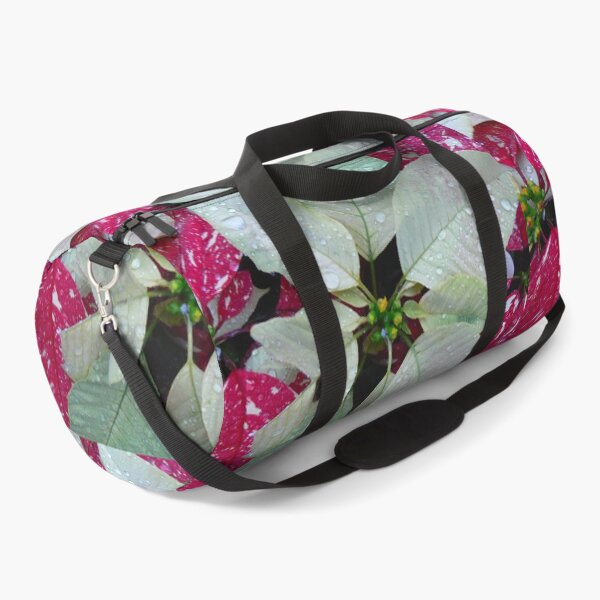 Item preview, Variegated Red & White Christmas Poinsettia designed and sold by Monika's Shop.