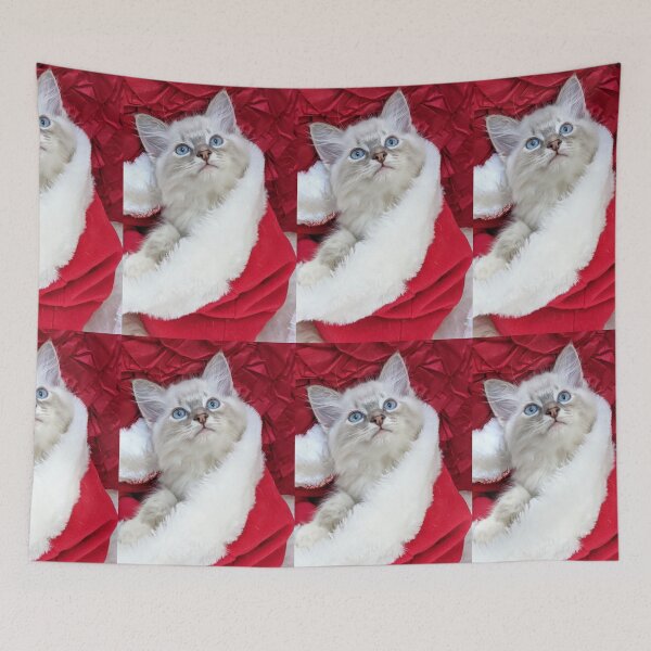 Item preview, Ragdoll kitten Christmas designed and sold by Fluffycat2020.