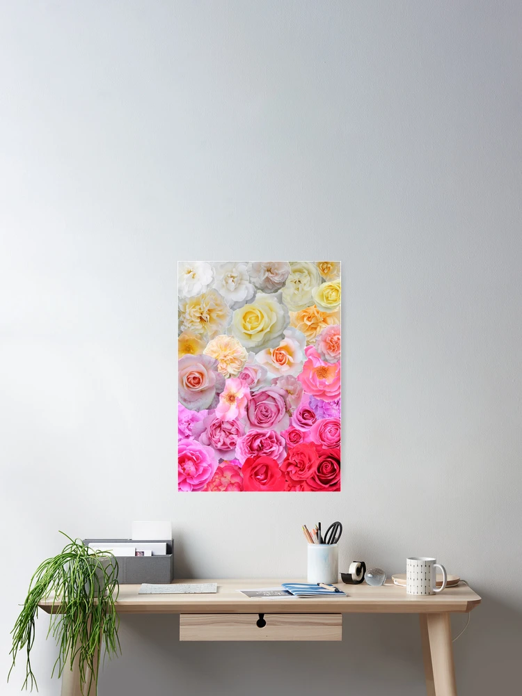 Thumbnail 2 of 3, Poster, Spring Roses designed and sold by plantpedia.