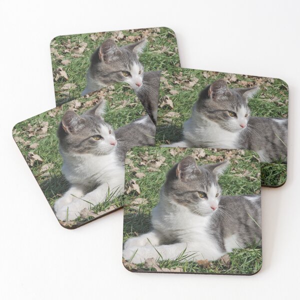 Item preview, Kitten - Cute Barn Kitten, Steve, in the Grass designed and sold by f2error.