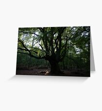Trees Greeting Card