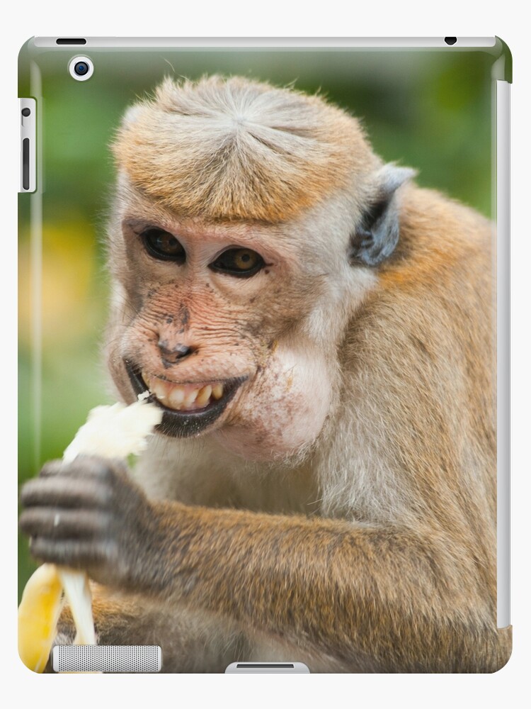 Laughing Monkey Saying Hii iPad Case & Skin for Sale by Ani1111