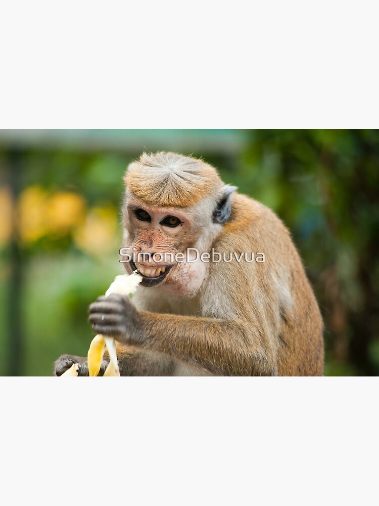 Bananas For Your Friendship Gender Neutral Monkey Valentine Cards Di -  swirly-world-design