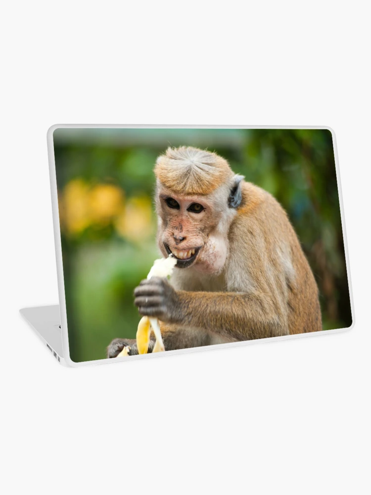 Bananas For Your Friendship Gender Neutral Monkey Valentine Cards Di -  swirly-world-design